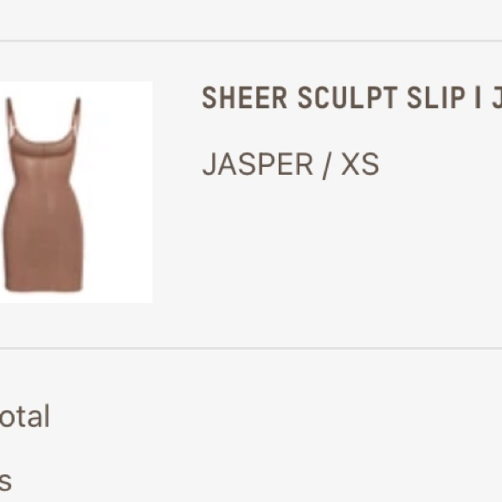 SHEER SCULPT DRESS